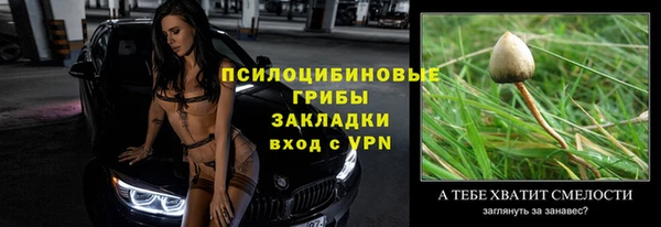 ПСИЛОЦИБИНОВЫЕ ГРИБЫ Касимов