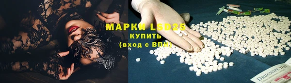 ПСИЛОЦИБИНОВЫЕ ГРИБЫ Касимов