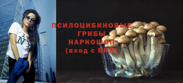 ПСИЛОЦИБИНОВЫЕ ГРИБЫ Касимов