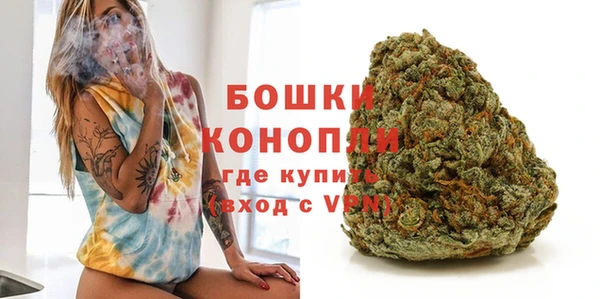 ПСИЛОЦИБИНОВЫЕ ГРИБЫ Касимов