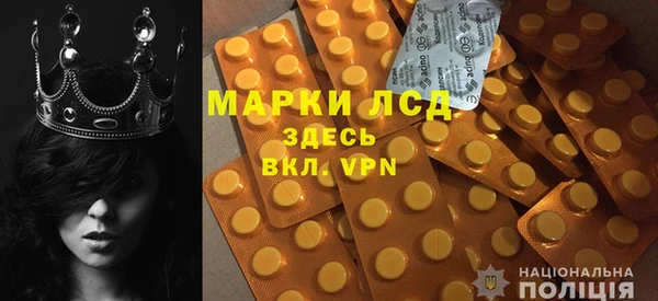 ПСИЛОЦИБИНОВЫЕ ГРИБЫ Касимов