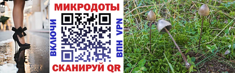 Галлюциногенные грибы MAGIC MUSHROOMS  Купить  Белорецк 